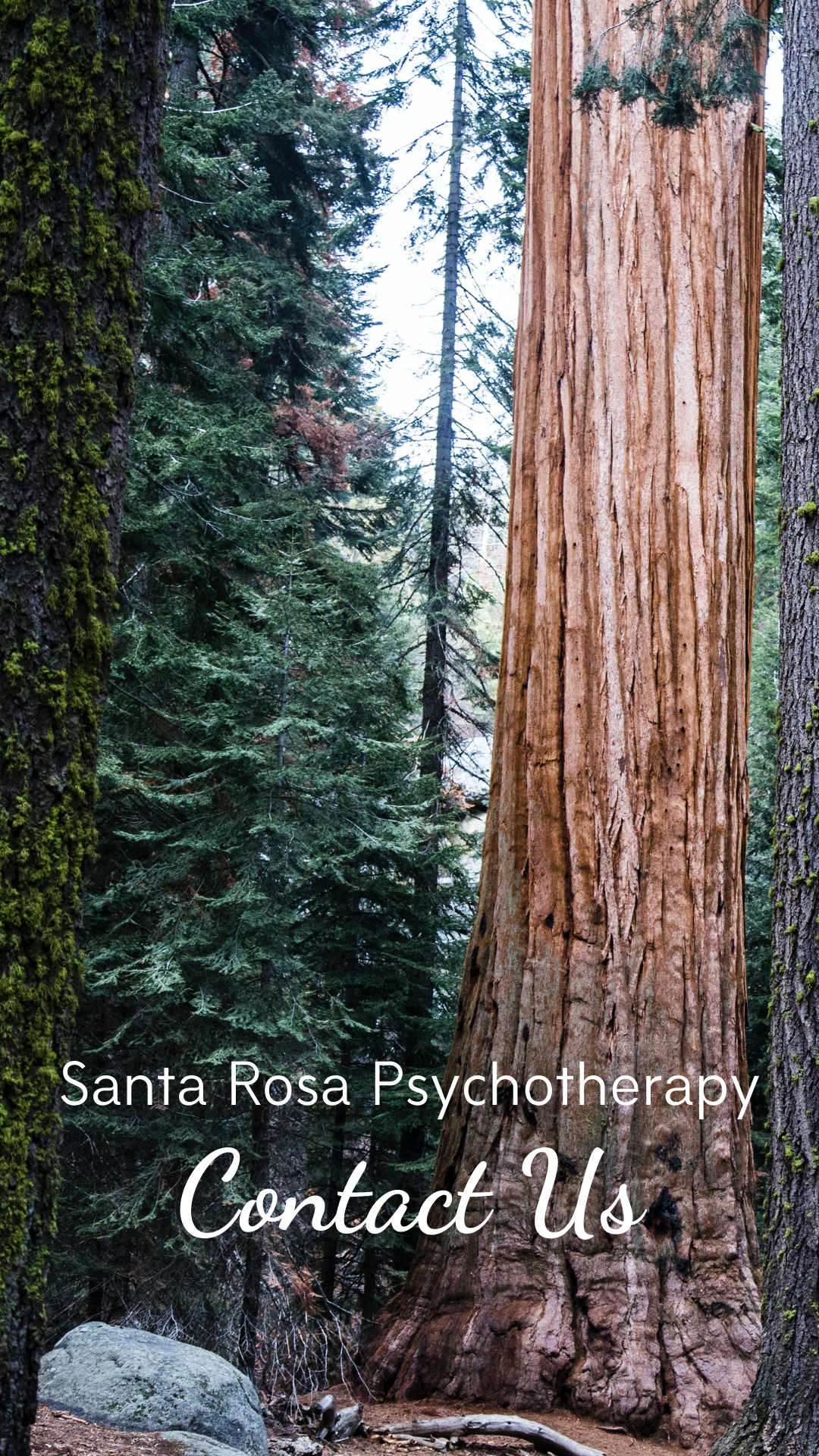 mobile optimized image that reads: Santa Rosa Psychotherapy. Contact Us.
