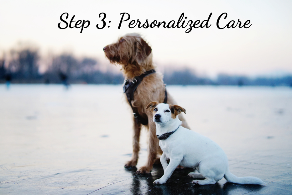 SRP - Feat - Personalized Care SRP - Feat - Personalized Care